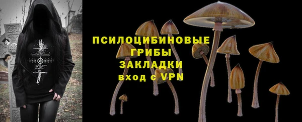 apvp Остров